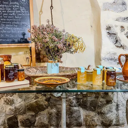 Mas D'en Giralt 1722, Exclusiva Masia Catalana En El Parc Natural Del Garraf, Ideal Familias, Grupos Y Celebraciones Intimas, Jardines Privados Y Barbacoa, A 10 Min De Villa *